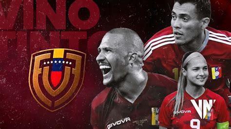 vinotinto venezuela